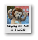 Umgang des ACC         11.11.2023