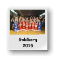 Goldberg 2015