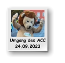 Umgang des ACC           24.09.2023